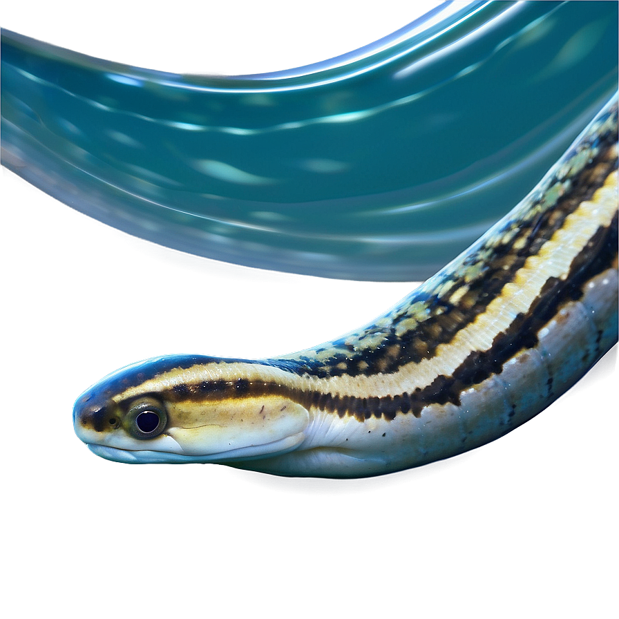 Eel In Water Background Png 49 PNG Image