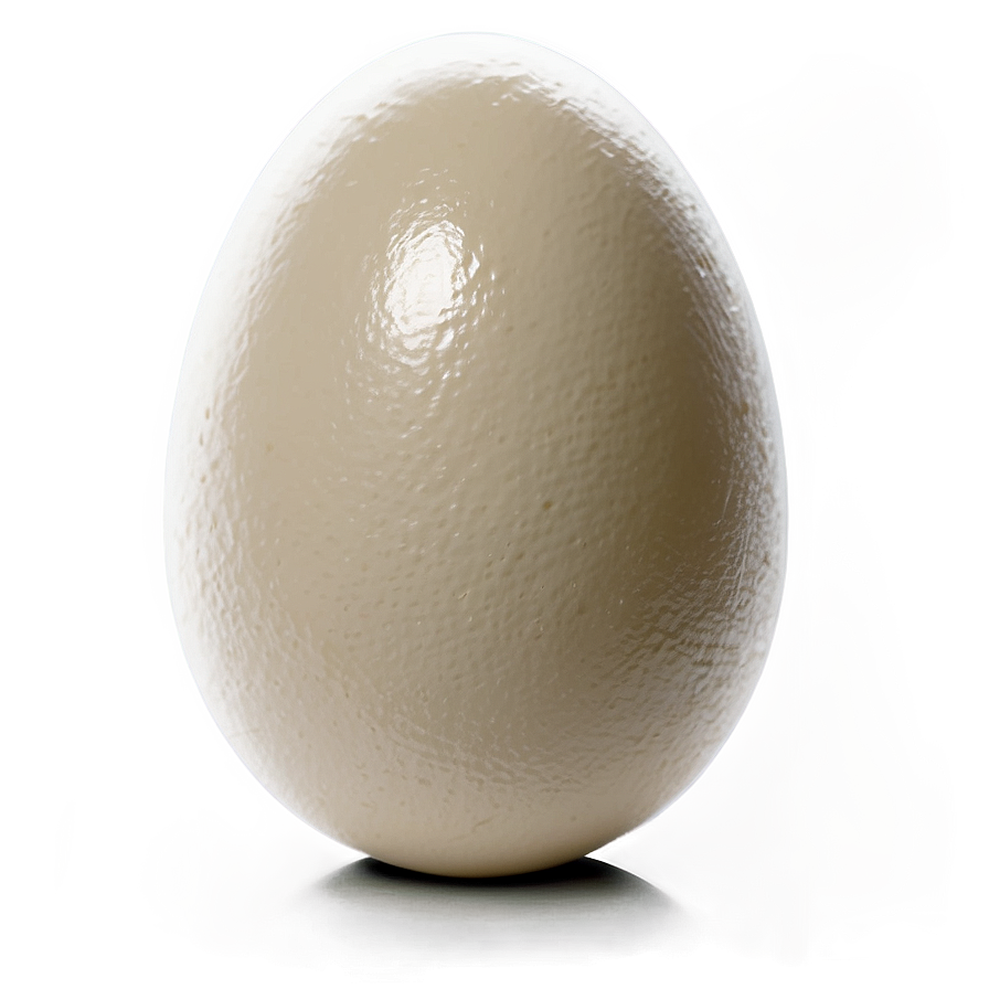 Egg B PNG Image