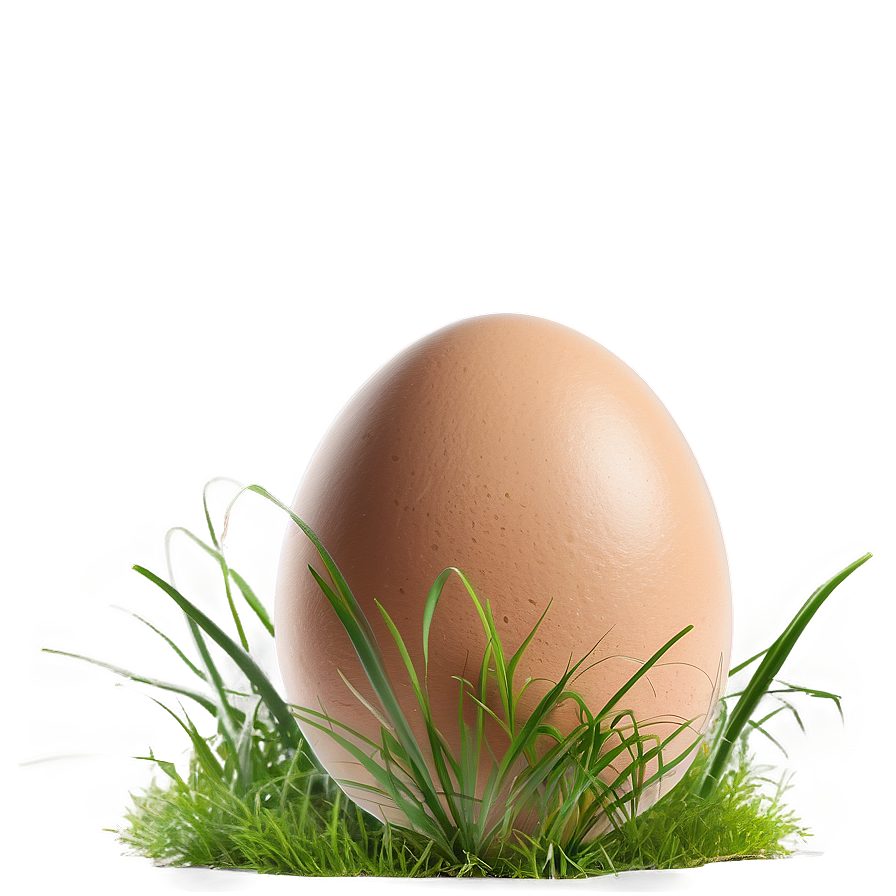 Egg In Grass Png 76 PNG Image