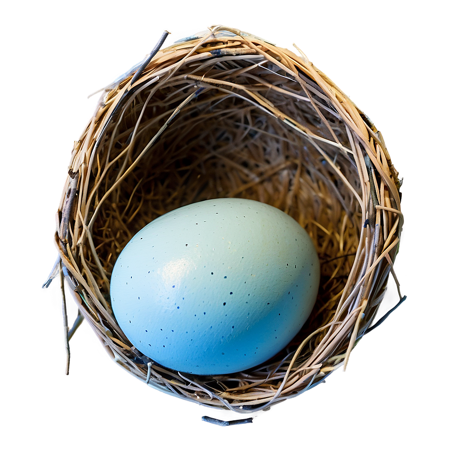 Egg In Nest Png Oho2 PNG Image