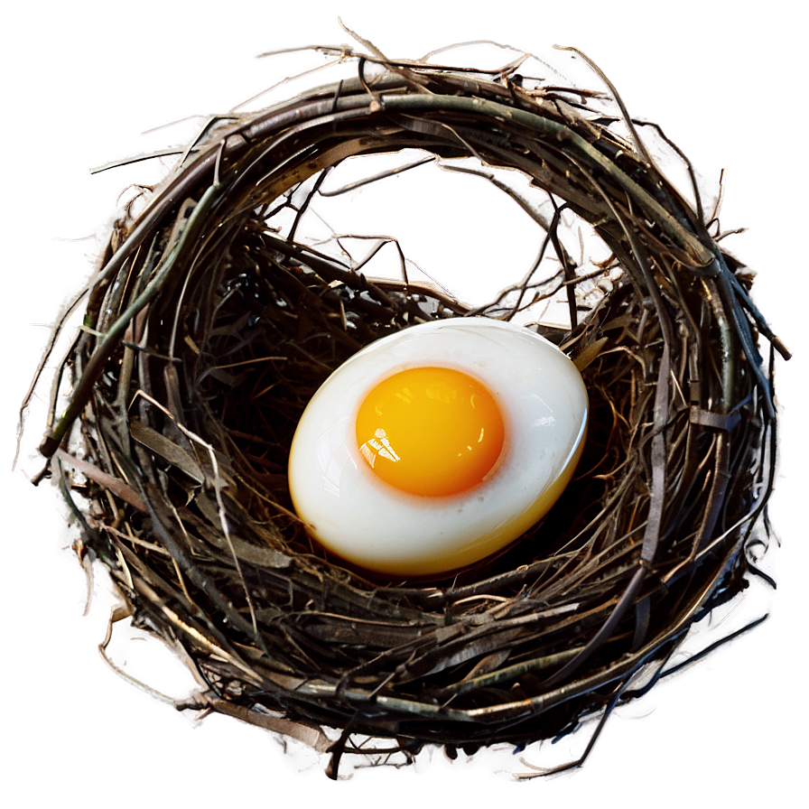 Egg In Nest Png Wjr56 PNG Image