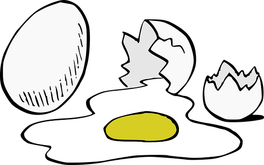 Egg Sequence Illustration PNG Image