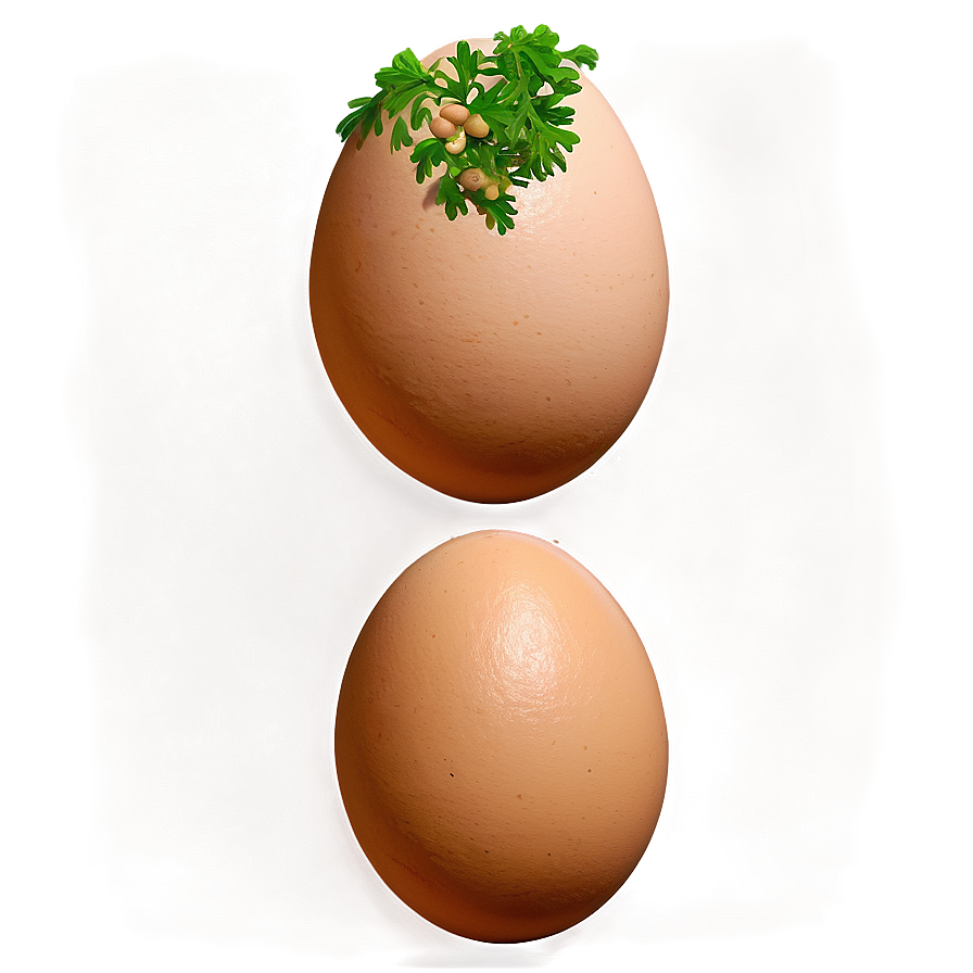 Eggs With Herbs Png 05242024 PNG Image