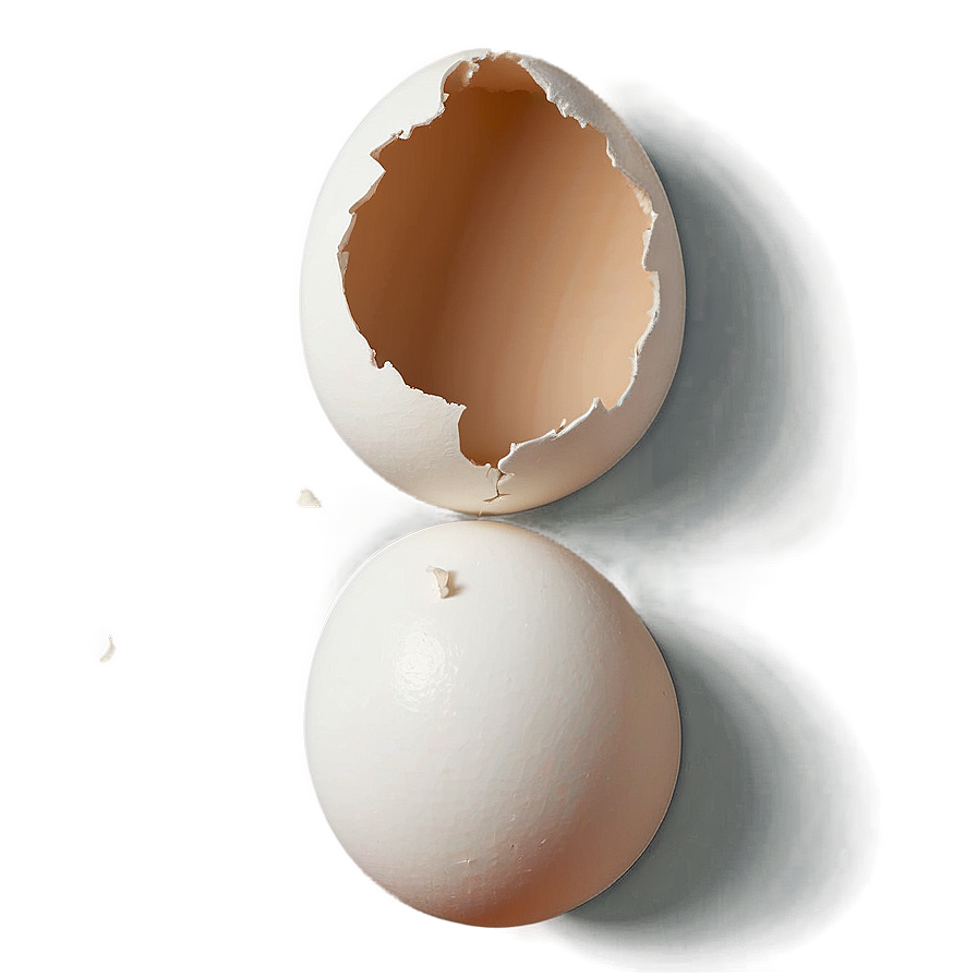 Eggshell Pieces Art Png 06132024 PNG Image