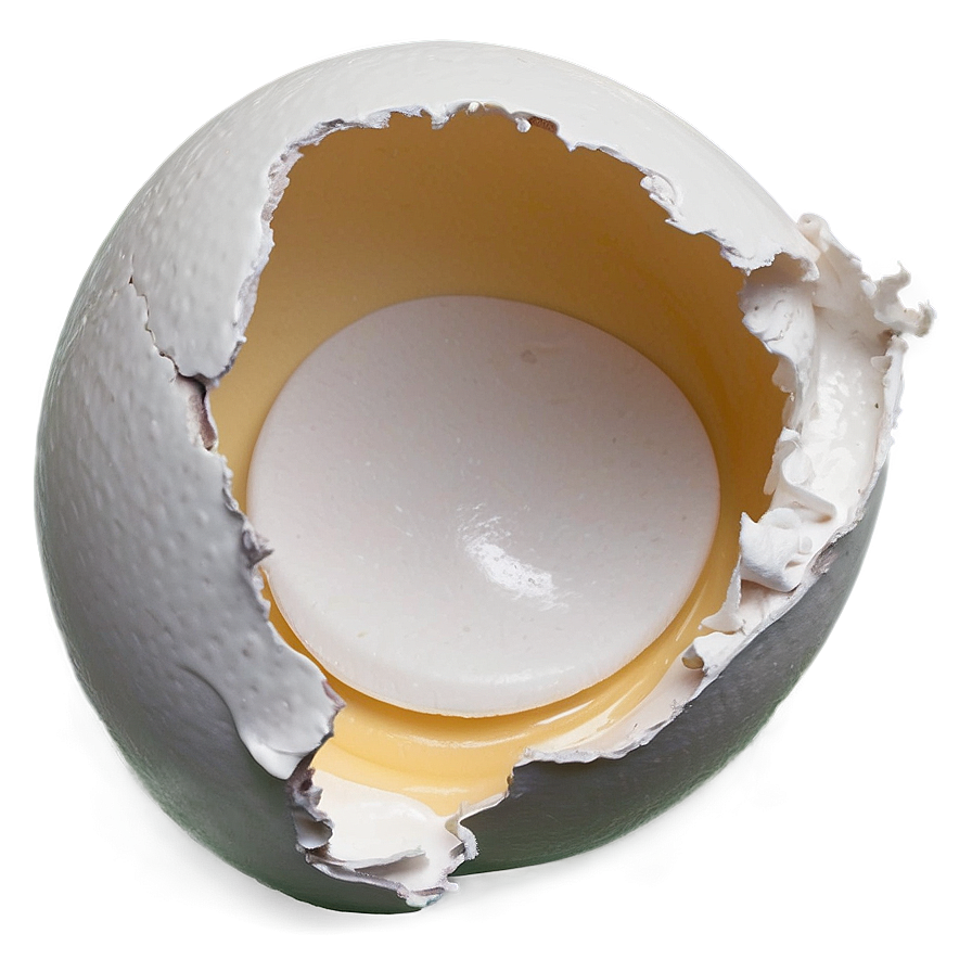 Eggshell Split Png 15 PNG Image