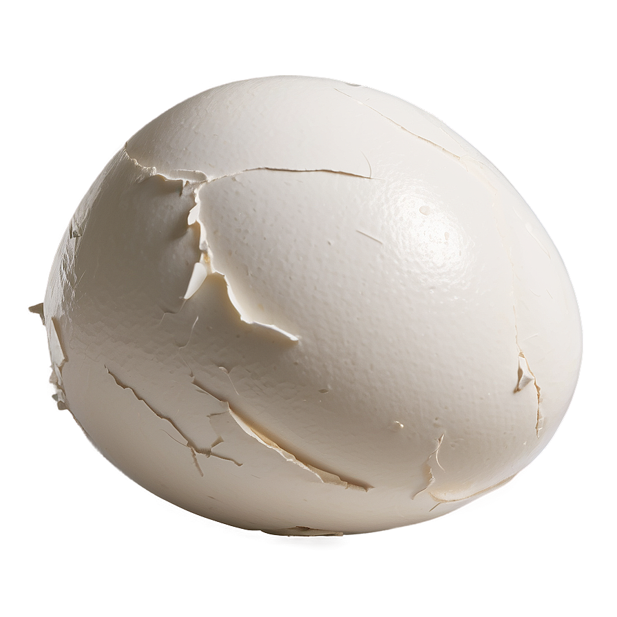 Eggshell With Crack Png 25 PNG Image