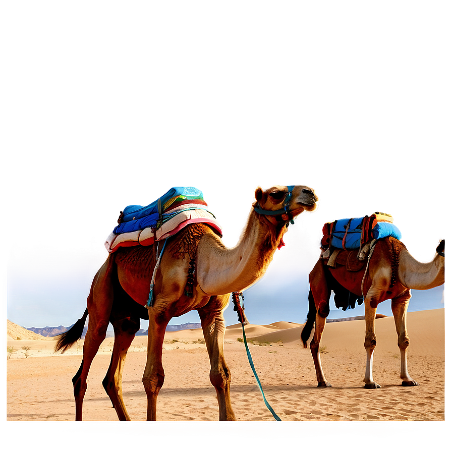 Egypt Desert Camel Caravan Png Pju PNG Image