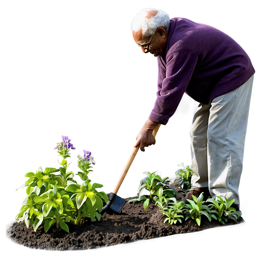 Elderly Man Gardening Png Kqp PNG Image