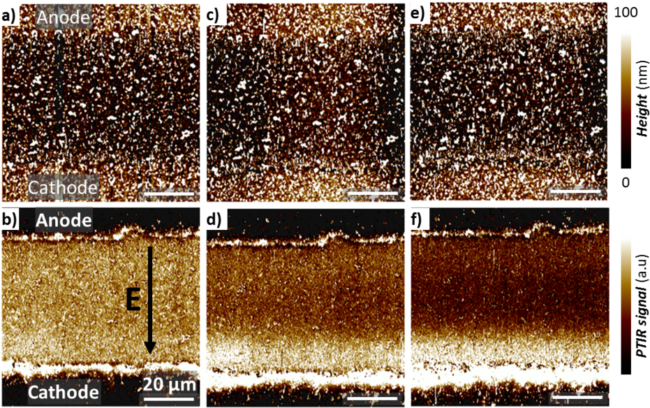 Electrochemical_ Deposition_ Microscopy_ Comparison PNG Image