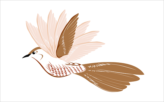 Elegant Bird Illustration PNG Image