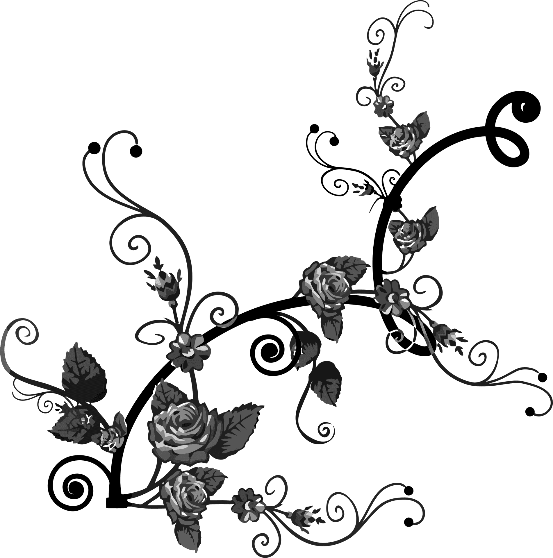 Elegant Black Floral Flourish Design PNG Image