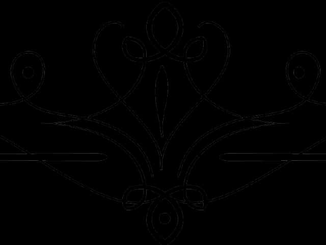 Elegant Black Floral Outline PNG Image