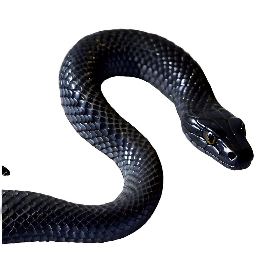 Elegant Black Snake Png 27 PNG Image