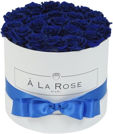 Elegant Blue Rosesin White Box PNG Image