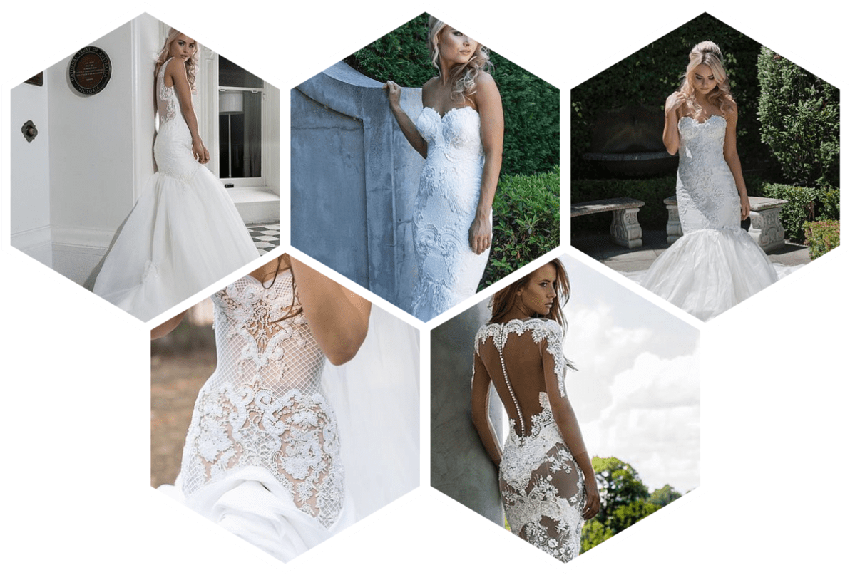 Elegant Bridal Gowns Collage PNG Image