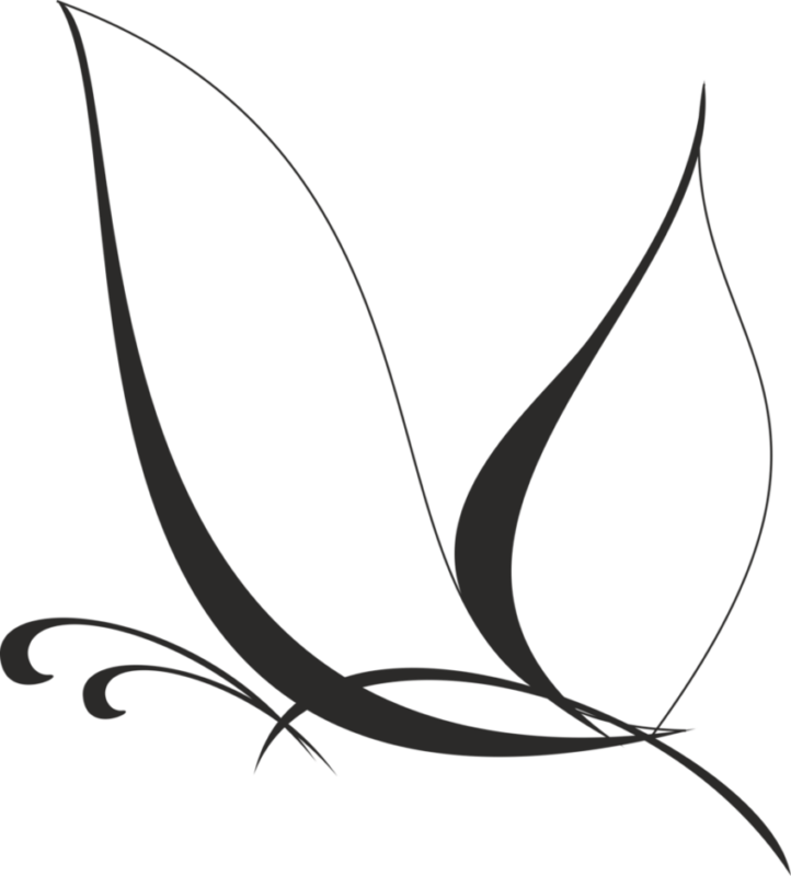 Elegant Butterfly Outline PNG Image