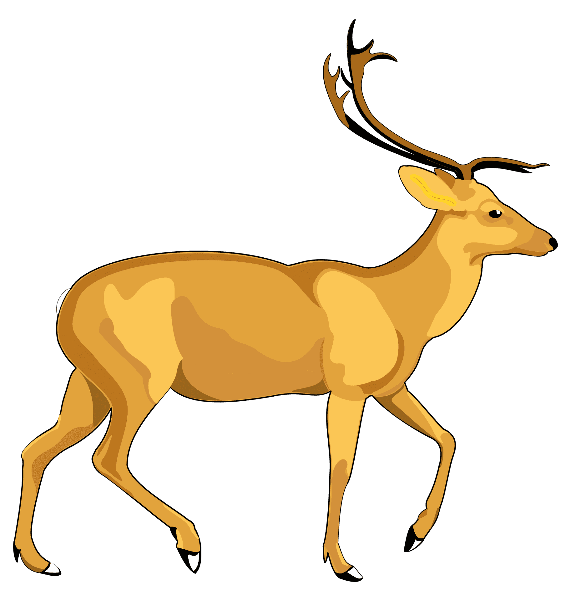 Elegant Deer Illustration PNG Image