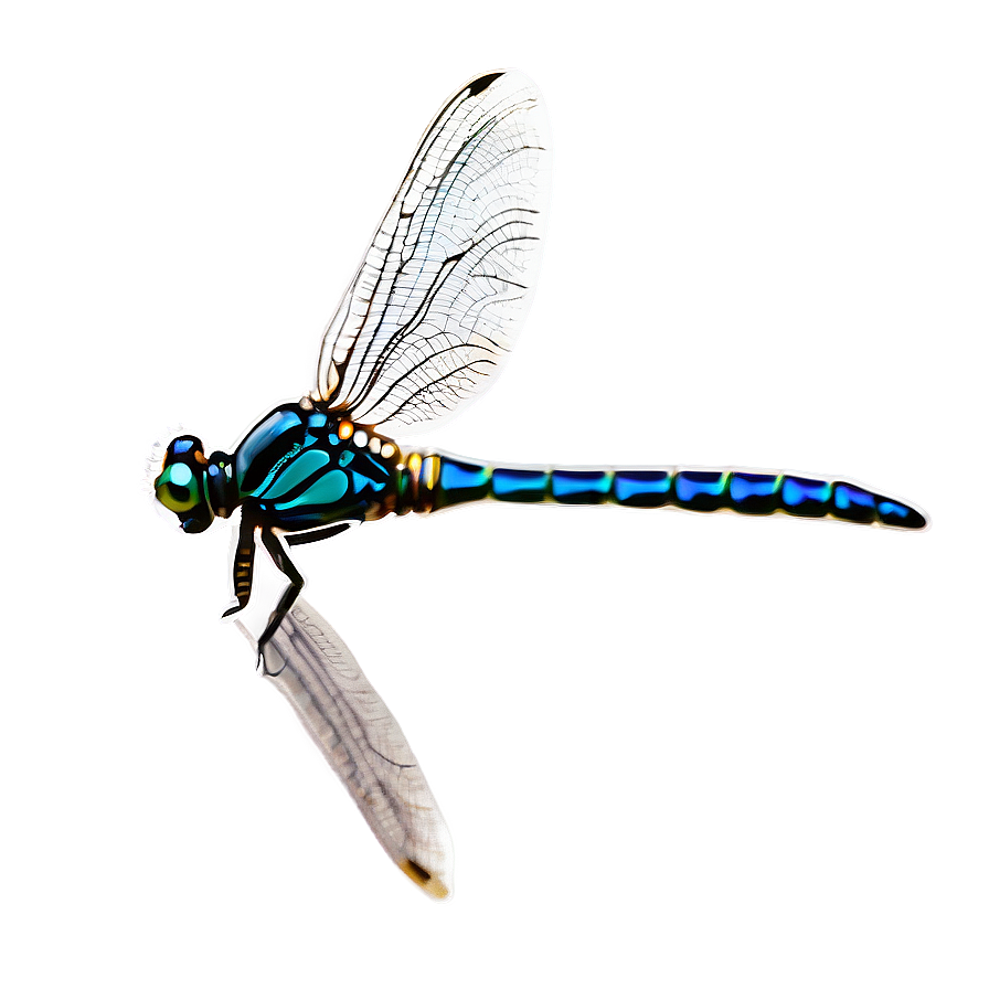 Elegant Dragonfly Png Ggs PNG Image