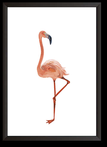 Elegant Flamingo Artwork PNG Image