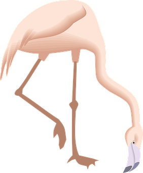 Elegant Flamingo Graphic PNG Image