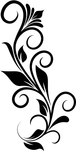 Elegant Floral Border Design PNG Image