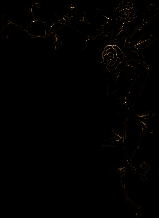 Elegant Floral Design Black Background PNG Image