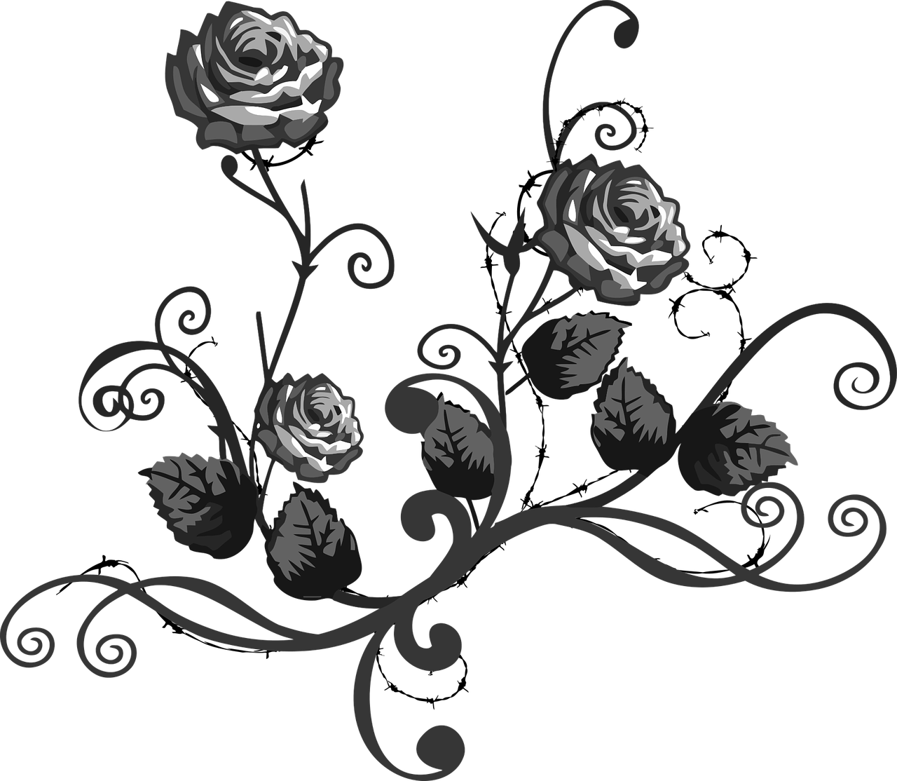 Elegant Floral Design Border PNG Image