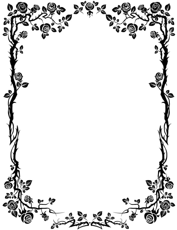 Elegant Floral Frame Border PNG Image