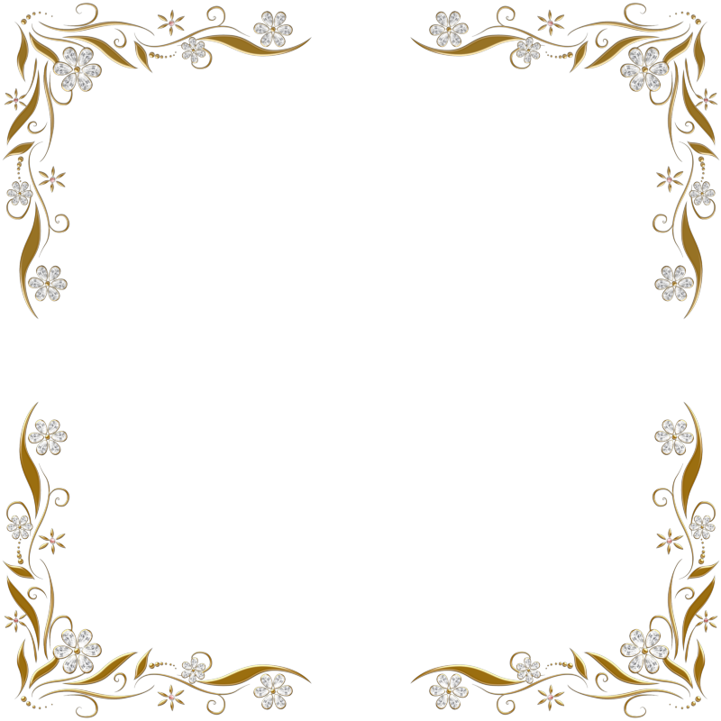 Elegant Floral Frame Design PNG Image