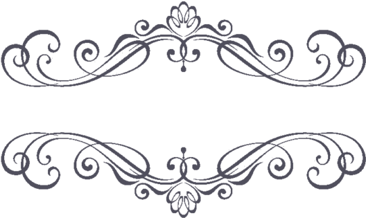 Elegant Floral Ornament Vector PNG Image