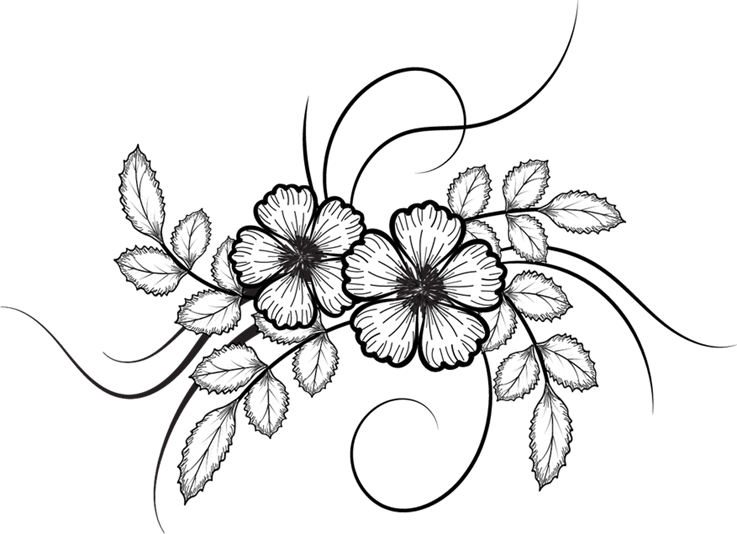 Elegant Floral Sketch PNG Image