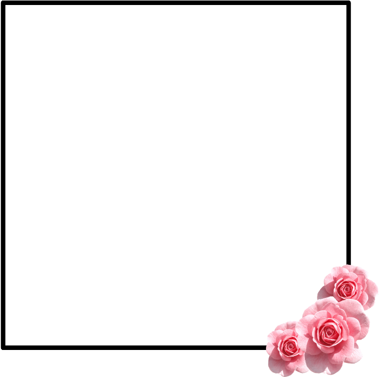 Elegant Floral Tumblr Border PNG Image