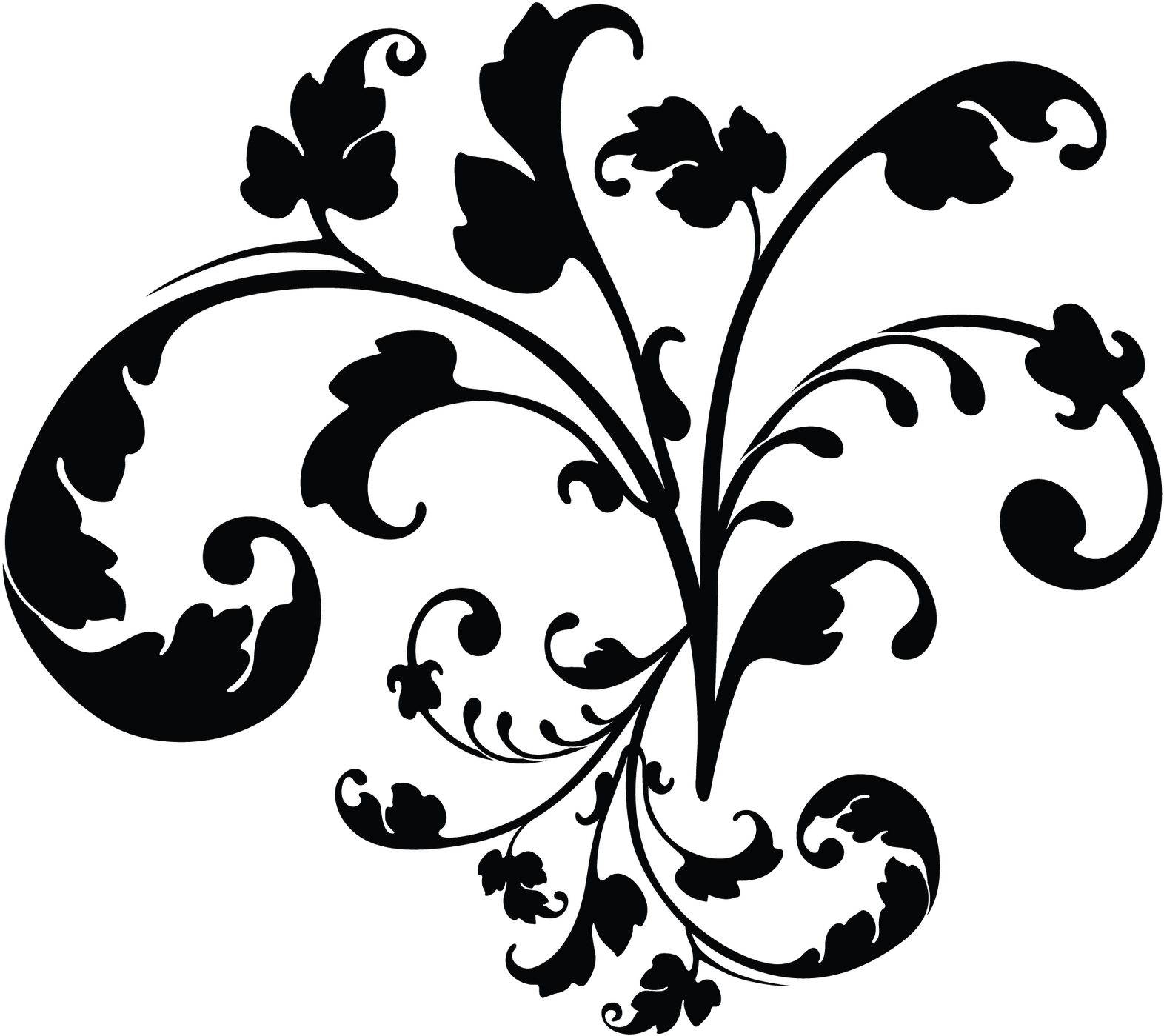 Elegant Floral Vector Design PNG Image