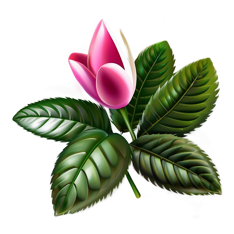 Elegant Flower Clipart Png Obk61 PNG Image