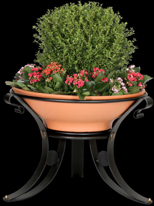 Elegant Flower Poton Stand PNG Image