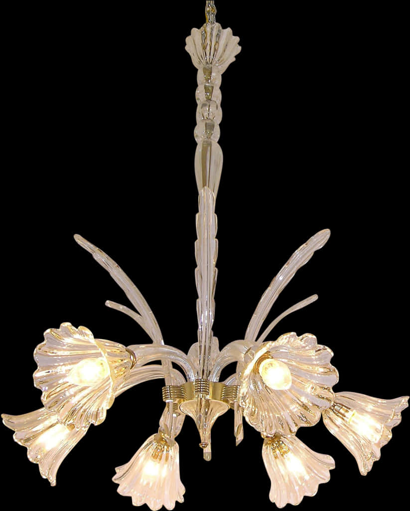 Elegant Glass Chandelier Illuminated PNG Image