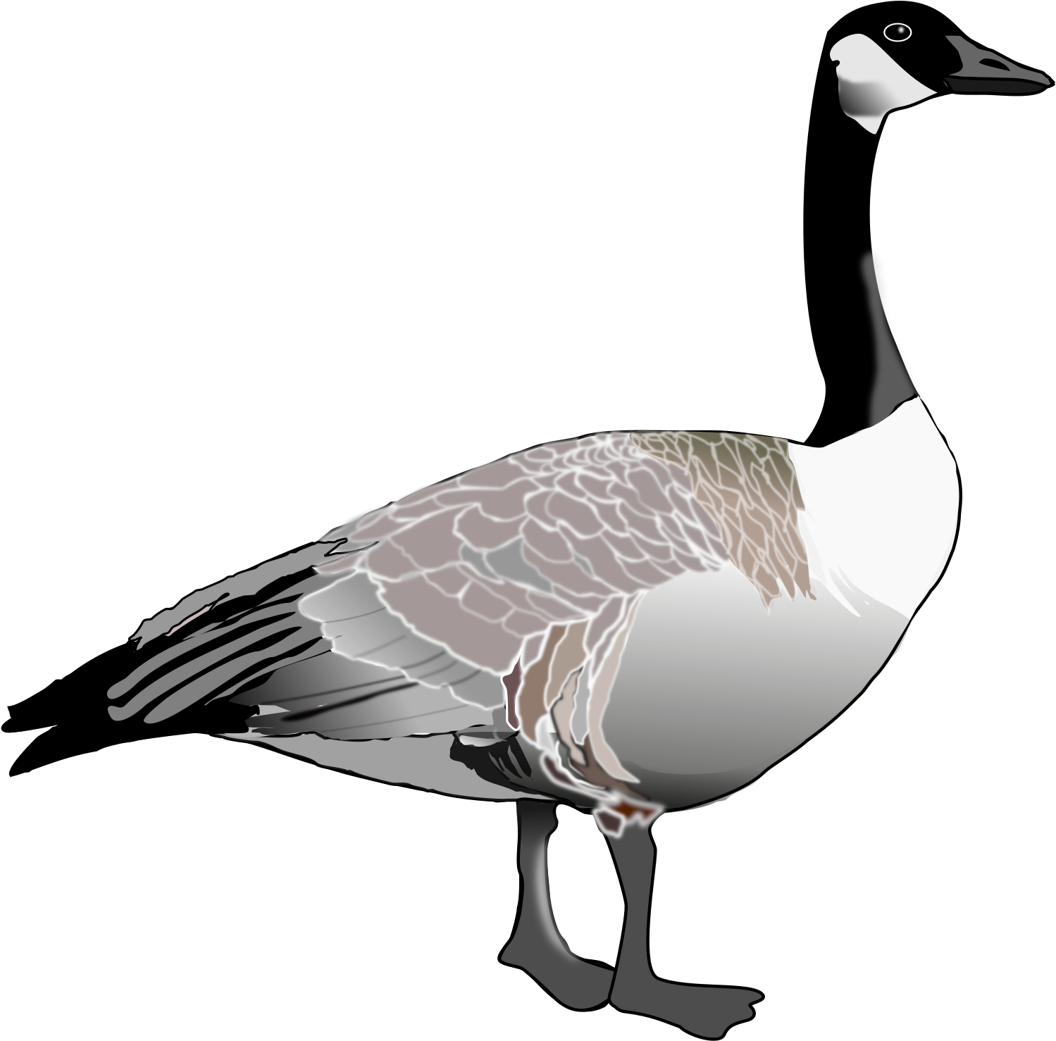 Elegant Goose Illustration PNG Image