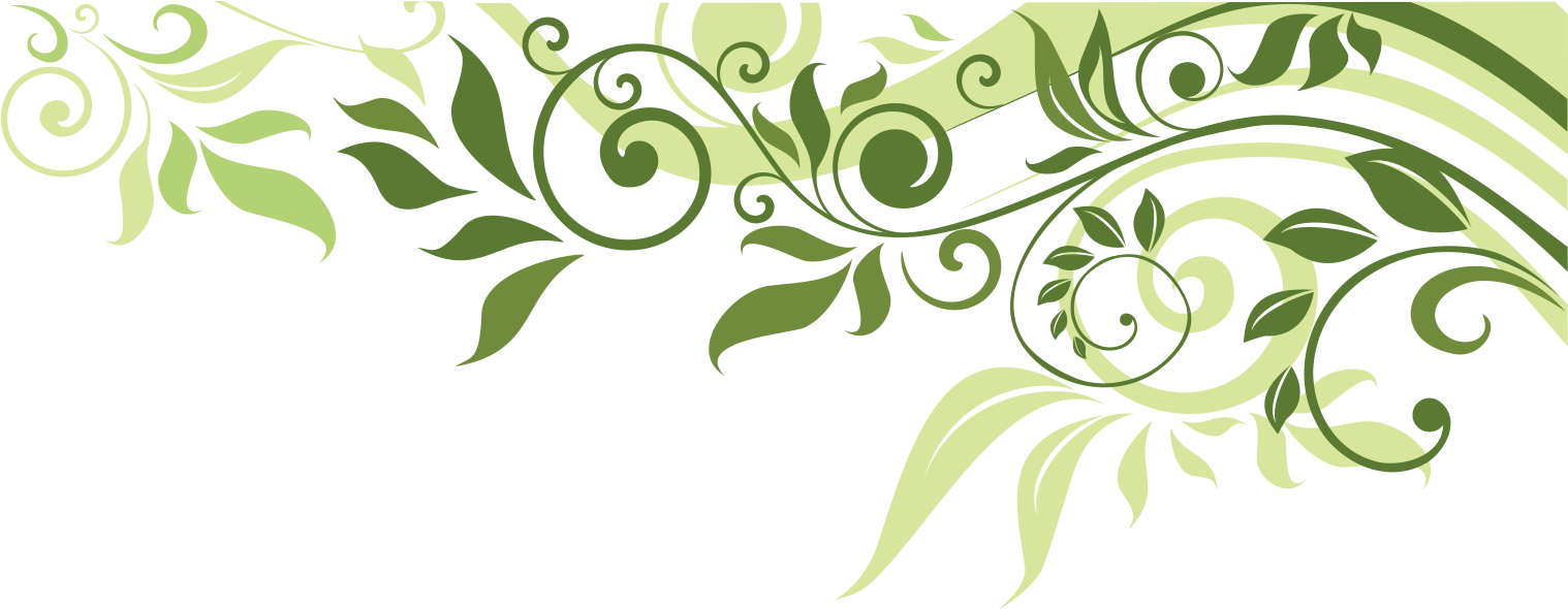 Elegant Green Leaf Flourish Border PNG Image