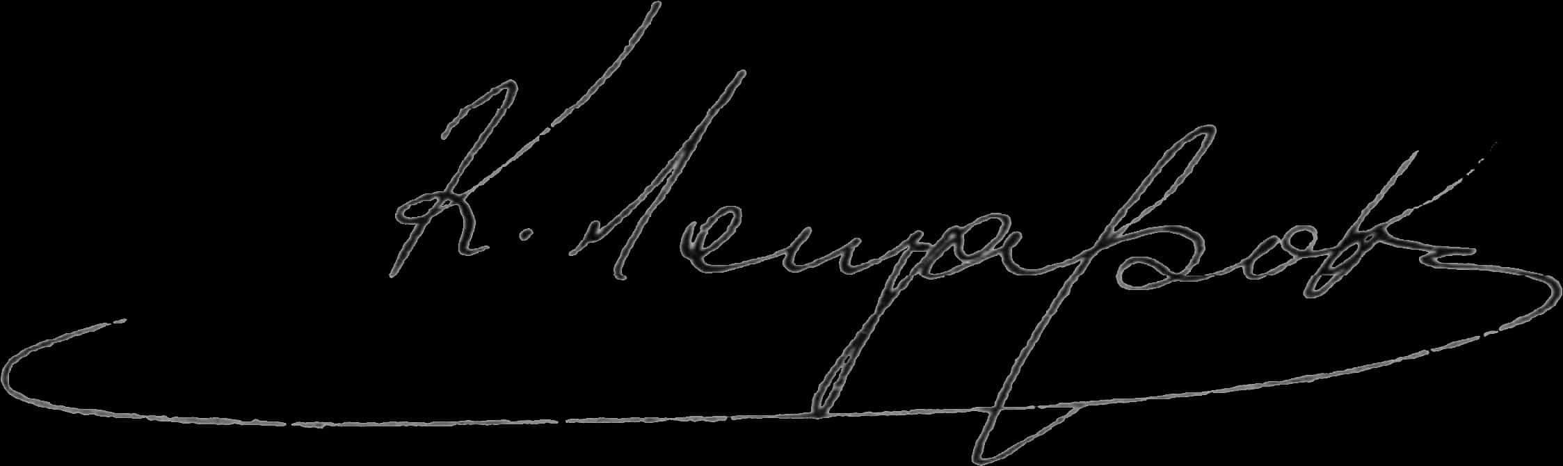 Elegant Handwritten Signature PNG Image