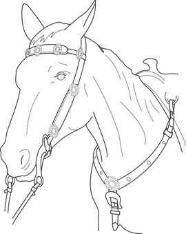 Elegant Horse Line Art PNG Image