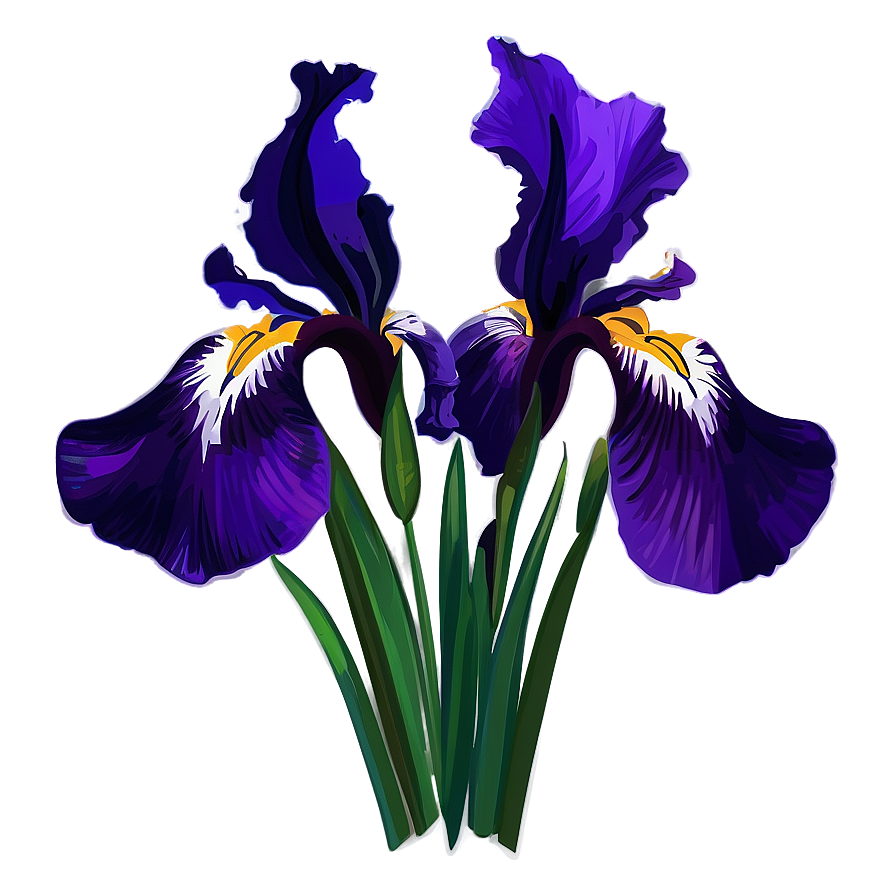 Elegant Iris Bouquet Png Jpd8 PNG Image