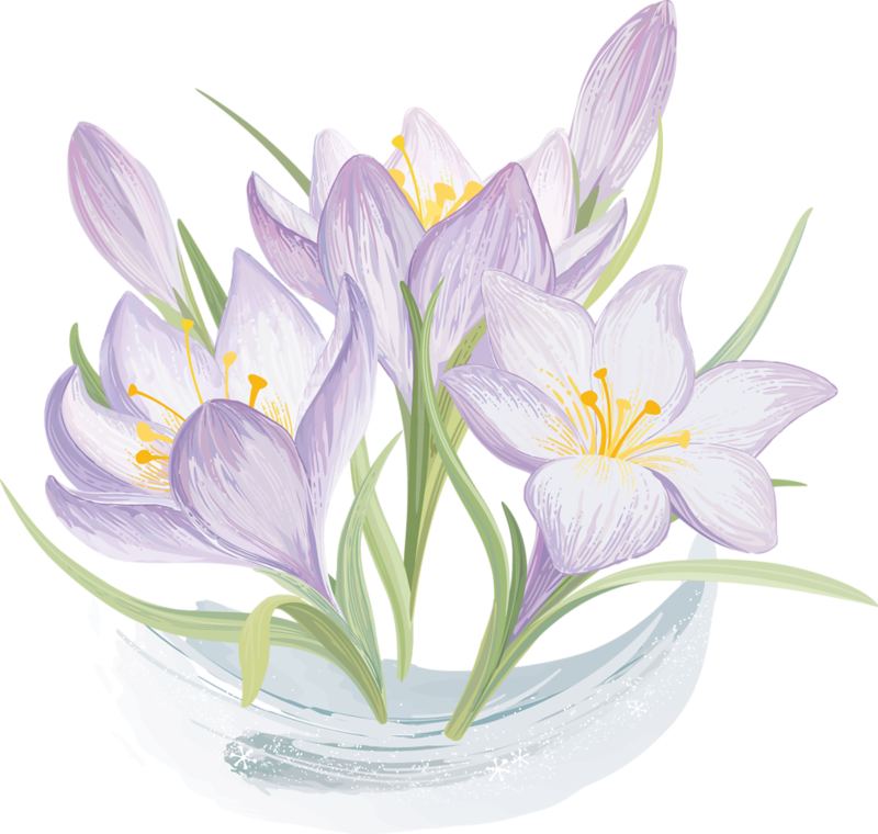 Elegant Lavender Floral Vector PNG Image