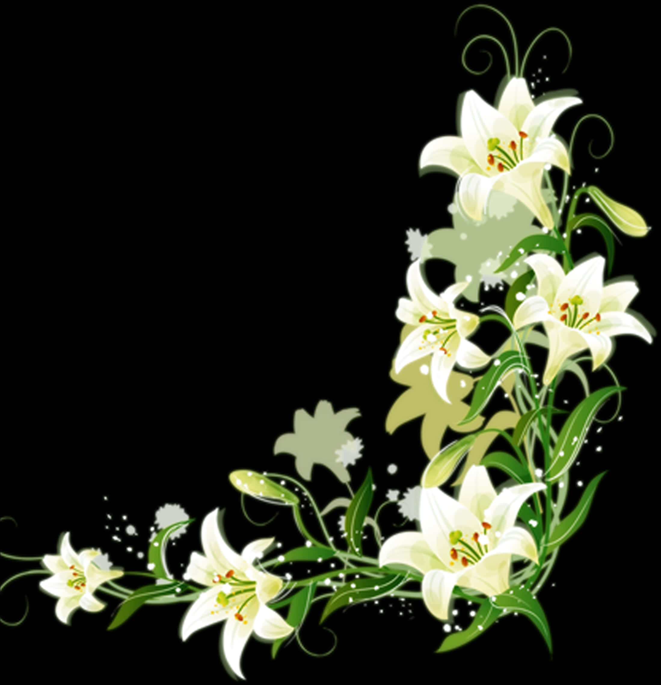 Elegant Lilies Floral Artwork PNG Image