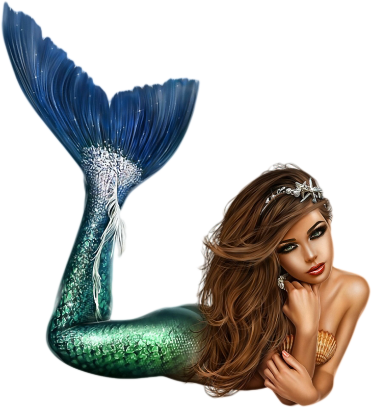 Elegant Mermaid Illustration PNG Image