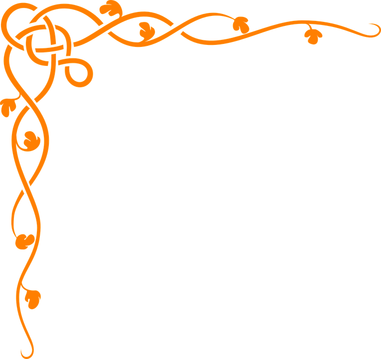 Elegant Orange Floral Corner Border Clipart PNG Image