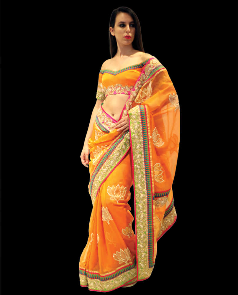 Elegant Orange Saree Model PNG Image