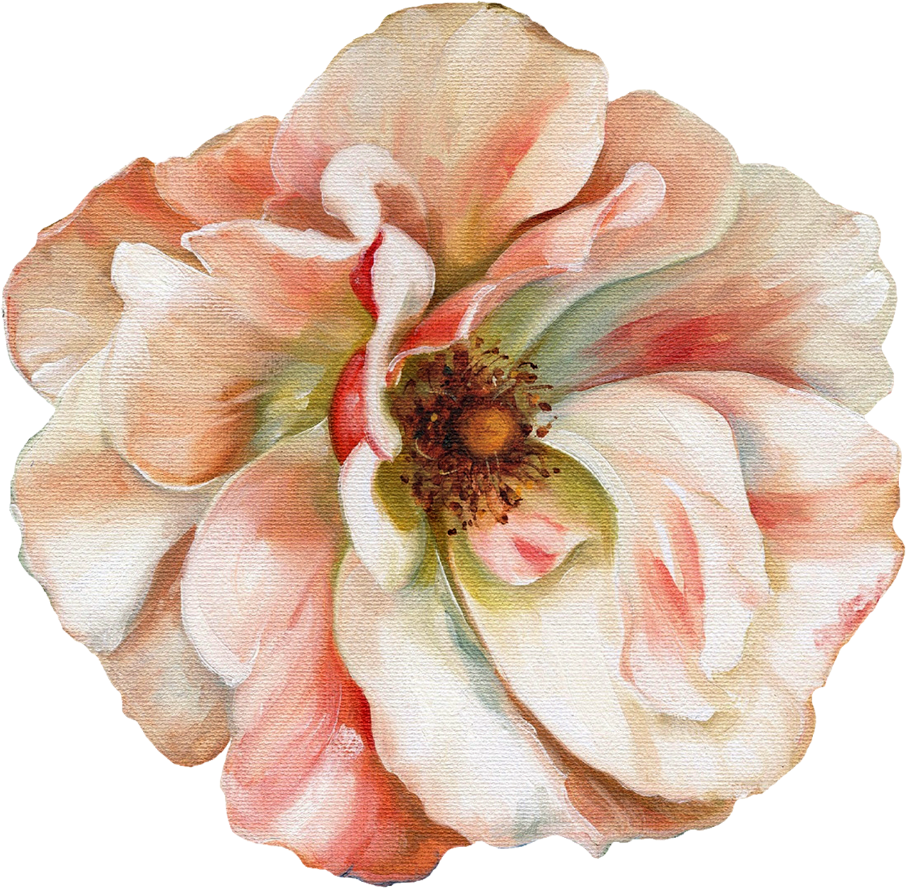 Elegant Painted Magnolia PNG Image