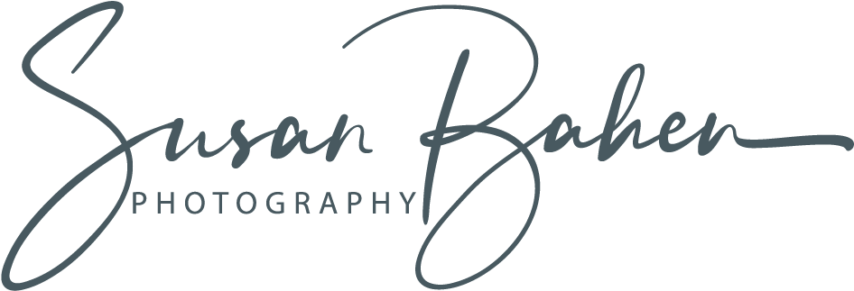 Elegant Photography Logo Susan Baken PNG Image