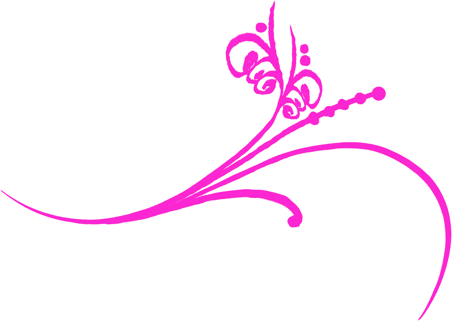 Elegant Pink Flourish Graphic PNG Image