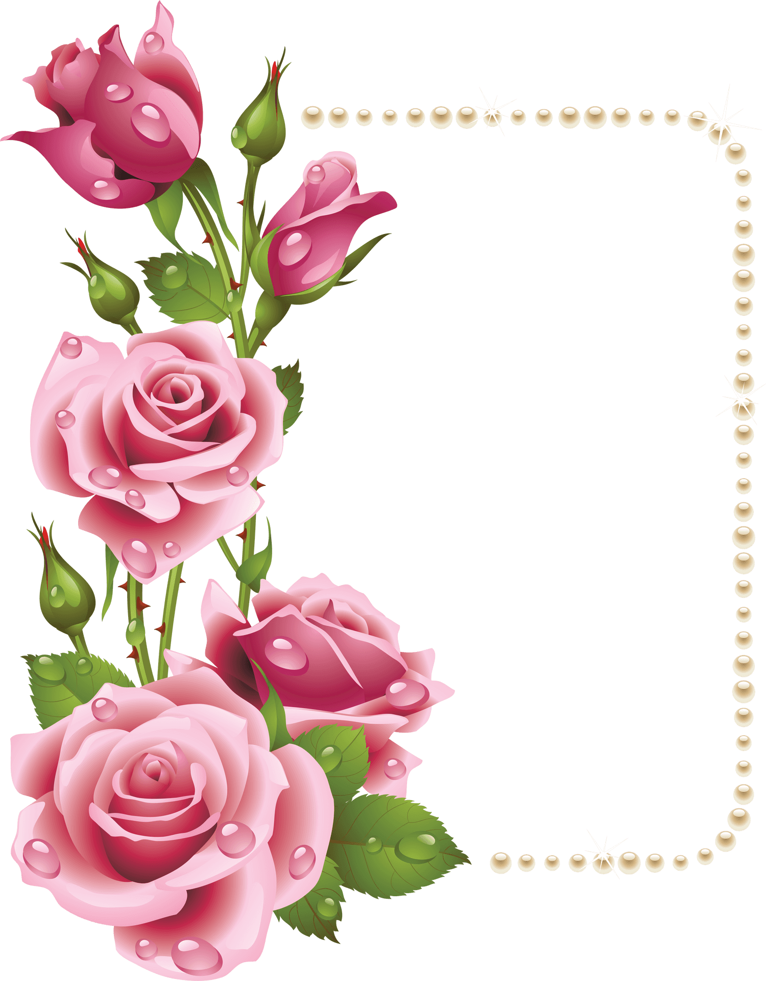 Elegant Pink Rose Frame PNG Image